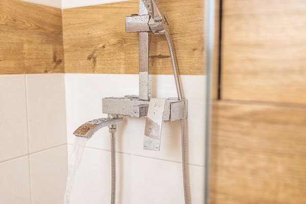 Cost of Shower Plumbing Installation in Winter Springs
